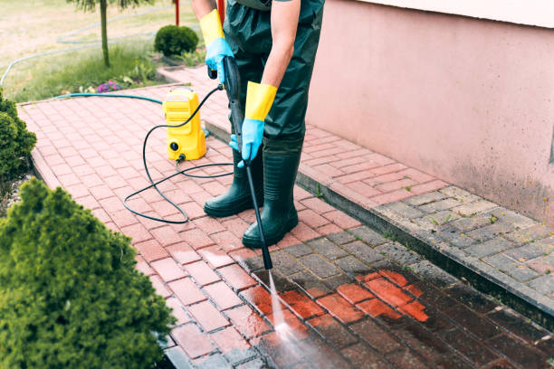 Best Roof Washing  in Alamo, NV